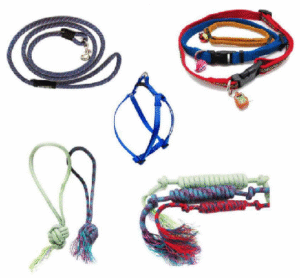 Pet Accessories - Tali Webbing