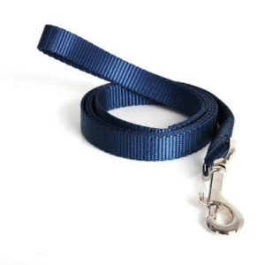 Pet Leash