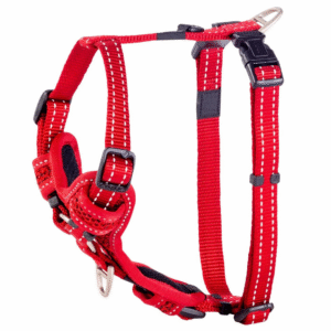 Pet Harness